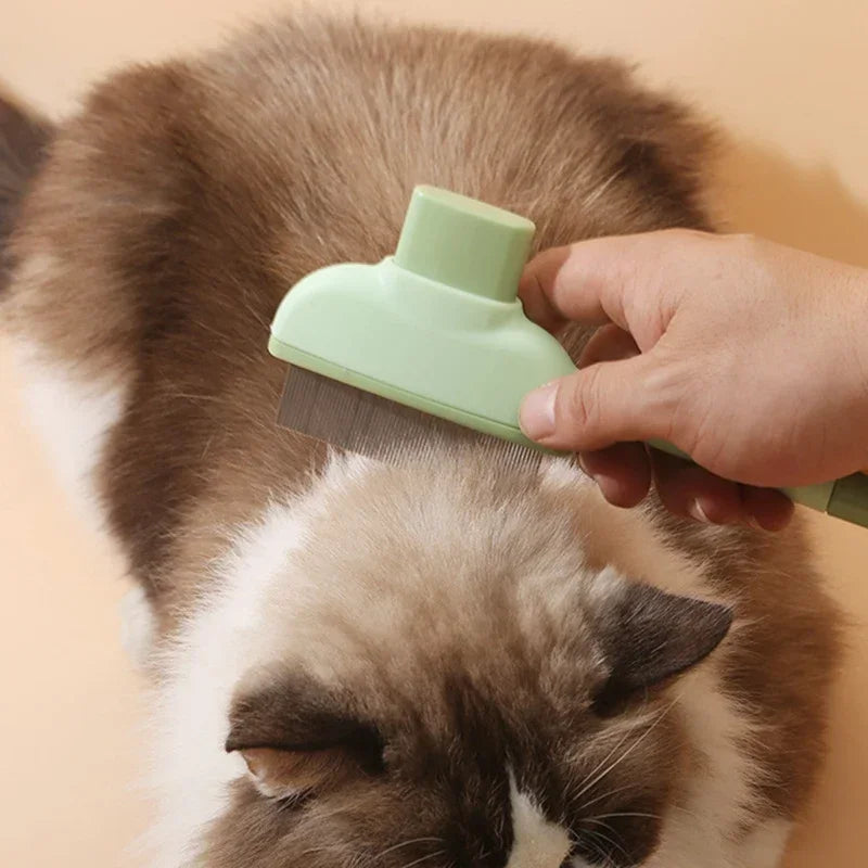 מברשת להסרת פרווה לכלבים וחתולים 🐾