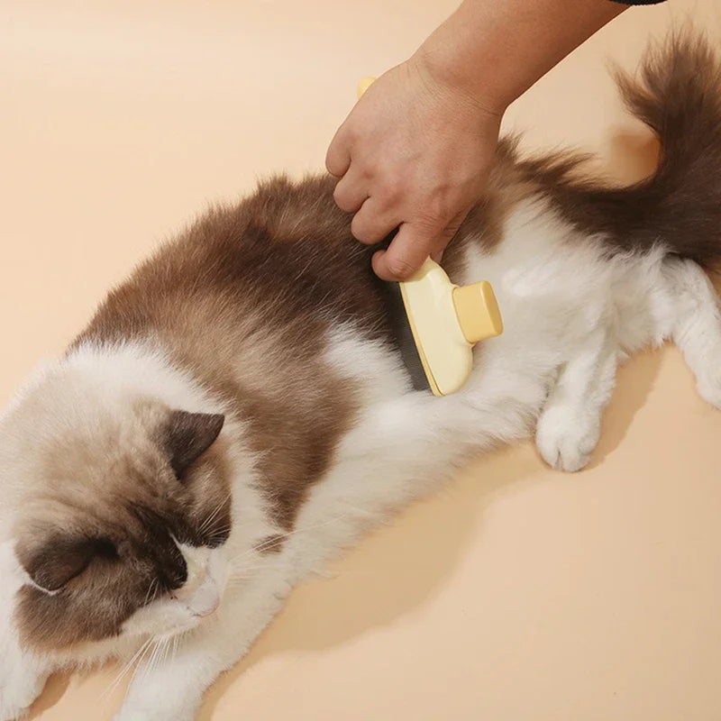 מברשת להסרת פרווה לכלבים וחתולים 🐾